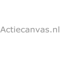 Actiecanvas.nl logo