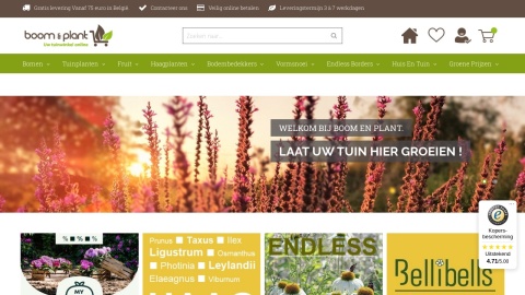 Reviews over MeDirect